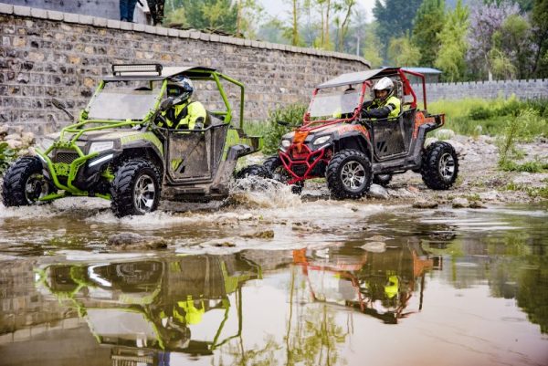FX250 SPIDER UTV - Image 2
