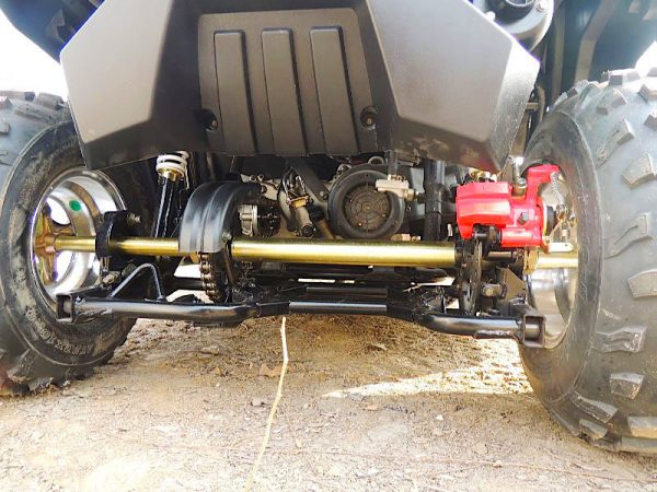 FX200 TIGER UTV - Image 2