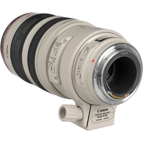 Canon EF 100-400mm f4.5-5.6L IS USM Lens | Tech Nuggets