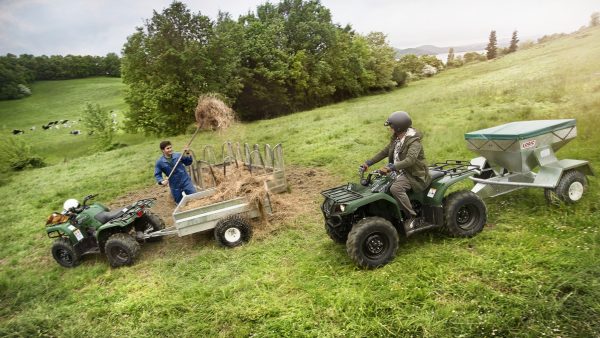 YAMAHA GRIZZLY 350 4X4 - Image 3