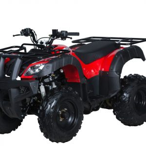 BULL 150CC FARM ATV QUAD BIKE