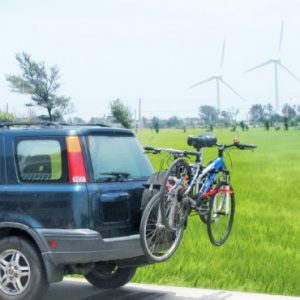 Buzz Rack Beetle 4x4 2 Bike Carrier - Spare Tyre Mount