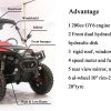 FX200 TIGER UTV - Image 9