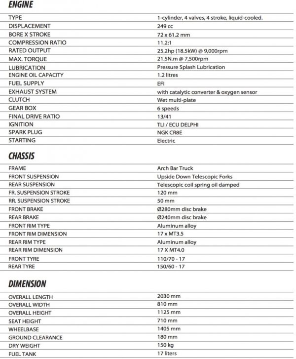 DSK Benelli TNT 25 - Image 16