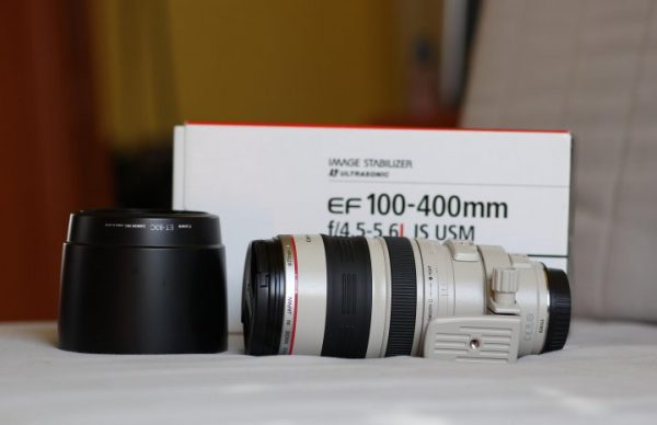 Canon EF 100-400mm f4.5-5.6L IS USM Lens - Image 14