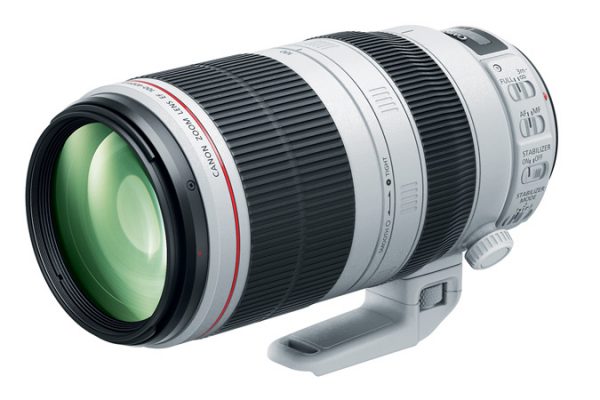 Canon EF 100-400mm f4.5-5.6L IS II USM Lens - Image 15