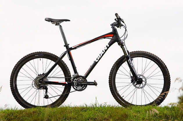 large mountain bike for sale