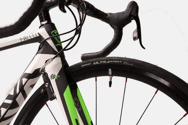 JAVA Falco - Image 4