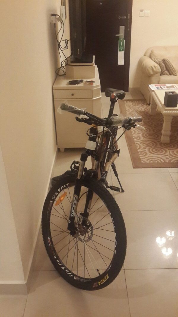 VIVA Fly 400 Mountain Bike - Image 14