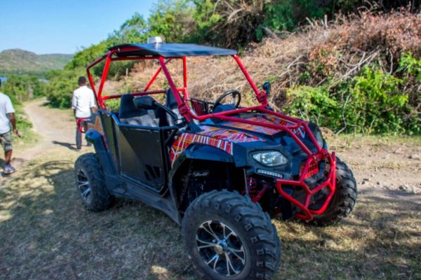 FX250 SPIDER UTV - Image 8