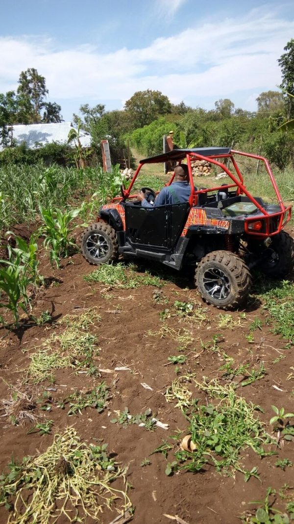 FX250 SPIDER UTV - Image 18