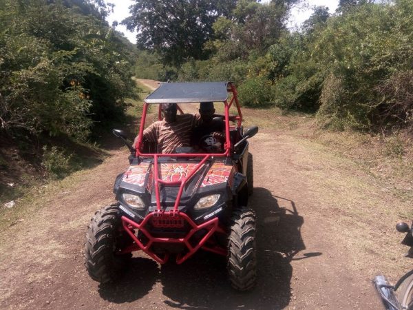 FX250 SPIDER UTV - Image 3