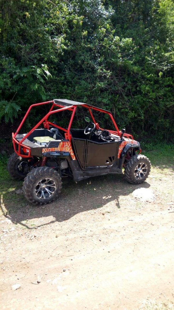 FX250 SPIDER UTV - Image 2