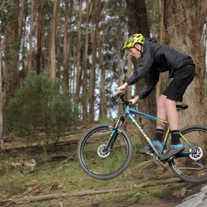 Giant Talon 3 27.5 Mountain Bike 2017