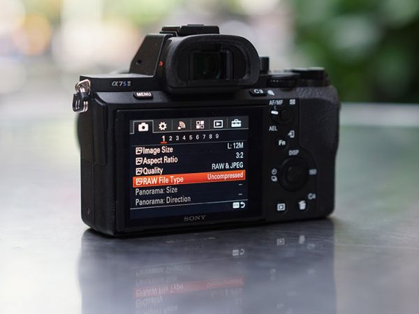Sony Alpha a7S II Mirrorless Digital Camera - Image 14