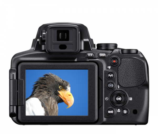 Nikon COOLPIX P900 Digital Camera - Image 7