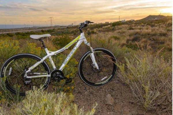 Smart Bikes Lady 200 - Image 3