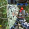 Joby GorillaPod 5K Flexible Mini-Tripod with Ball Head Kit - Image 11