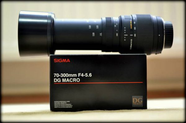 Sigma 70-300mm f/4-5.6 DG Macro Lens - Image 6
