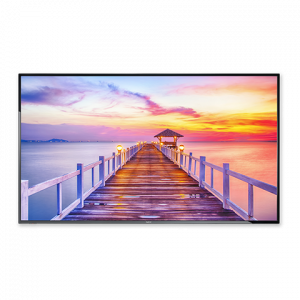 NEC MultiSync LED Backlit Display with Integrated Tuner