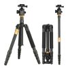 Beike Q-666 3-in-1 Tripod Monopod - Image 3