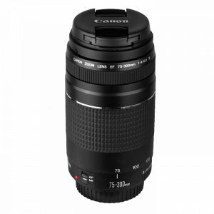 Canon EF 75-300mm f/4-5.6 III Lens