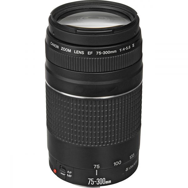 Canon EF 75-300mm f/4-5.6 III Lens - Image 3