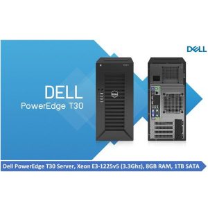 Dell PowerEdge T30 Server System