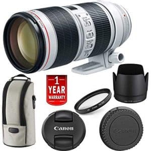 Canon EF 70-200mm f/2.8L IS III USM Lens