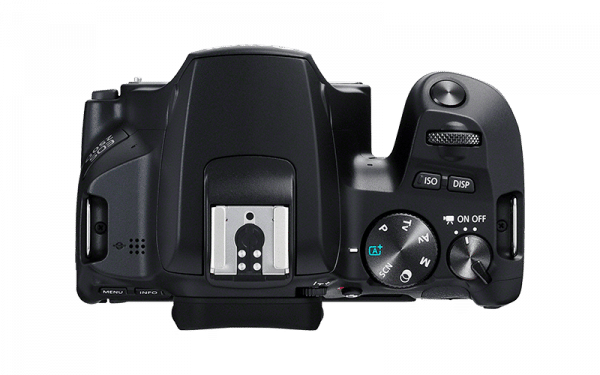 Canon EOS Rebel SL3 / EOS 250D DSLR Camera - Image 5